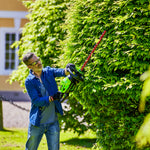 60V Hedge Trimmer 60cm
