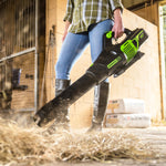 60V Leaf Blower