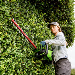 60V Hedge Trimmer 66cm