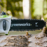 24V Pole Saw & Telescopic Hedge Trimmer